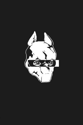 Masked Identity: The Money Store's Iconic Emblem