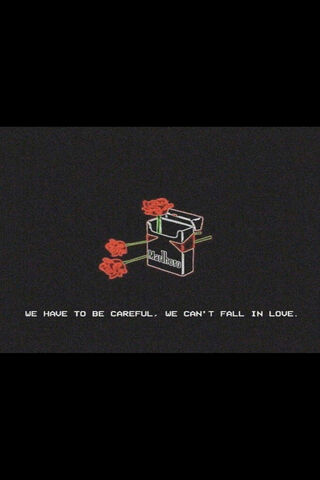 Caution in Love 🌹💔