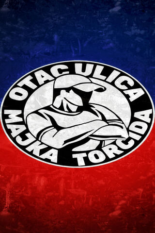 Torcida: The Heartbeat of Passionate Fans ⚽❤️