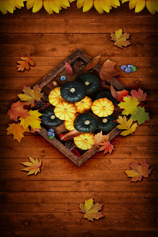 Autumn Harvest Delight 🍂🎃