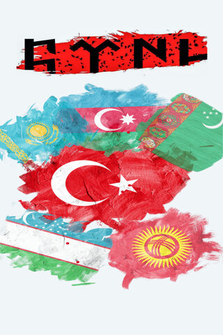 Unity in Diversity: The Turk Connection 🌍✨