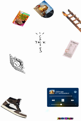 Cactus Vibes: A Journey Through Sound and Style 🌵🎶