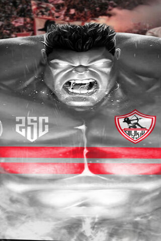 Unleashing the Power: The Ultimate Fan Spirit! 💪⚽