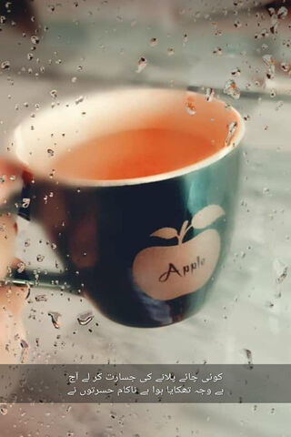 Sipping Serenity: A Moment of Reflection 🍏☕