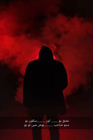 Whispers of the Heart: A Journey Through Urdu Poetry 🌌✨