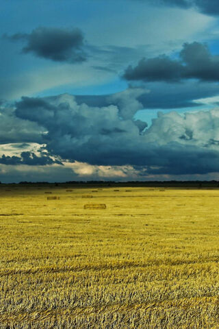 Golden Fields Under a Blue Sky 🌾☁️