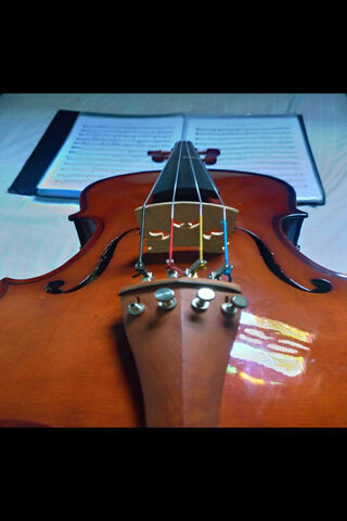 Strings of Harmony: The Viola De Arco 🎻✨