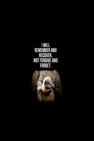 The Resilient Vulture: A Symbol of Strength