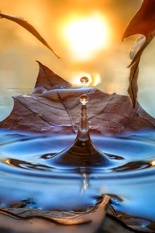 Nature's Liquid Gem: The Waterdrop 🌊✨