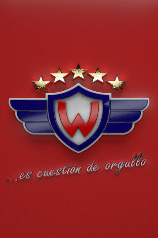 Shining Pride: The Wilster Gold Stars Emblem ✨🏆