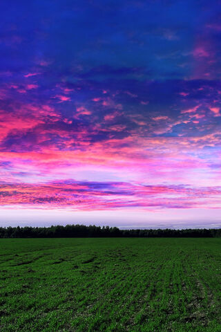 Twilight Dreams: A Canvas of Colors 🌅✨