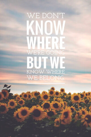 Finding Our Place in the Unknown 🌻✨