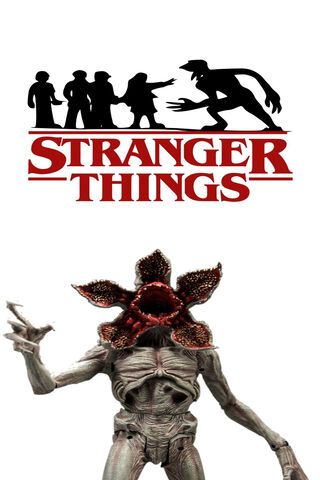 Zorro's Adventure: A Mysterious Encounter