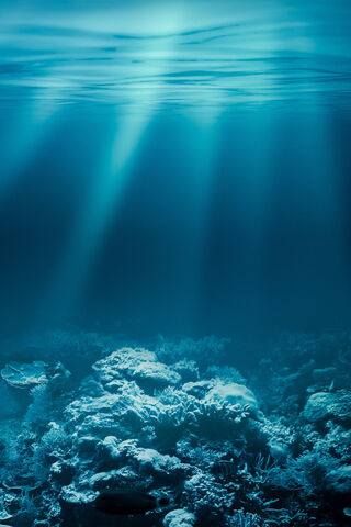 Zamalek: A Glimpse into Underwater Serenity 🌊✨
