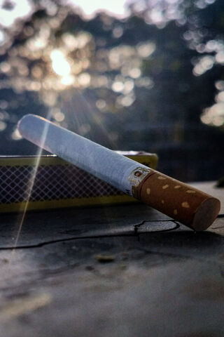 Cigars and Sunsets: A Perfect Pairing 🌅