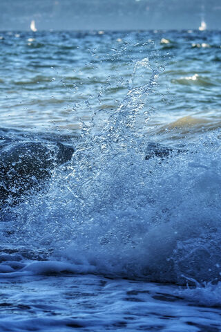 Ocean's Dance: The Blue Wave