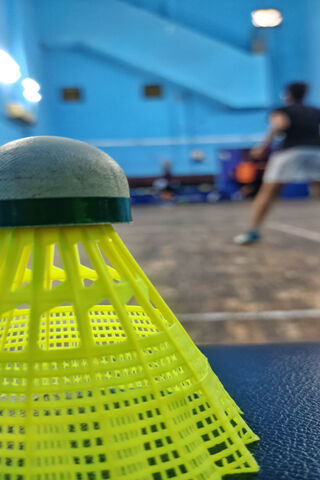 The Flight of the Shuttle: Badminton in Action! 🏸✨