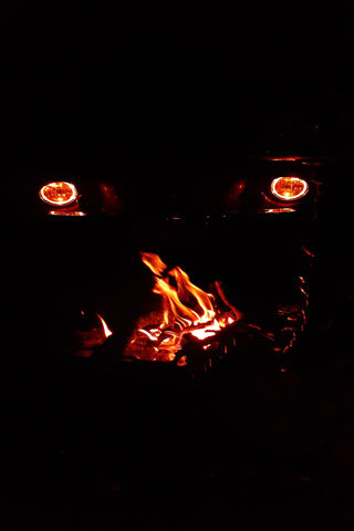 Beetle's Fiery Glow 🔥🐞