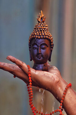 The Tranquil Presence o..