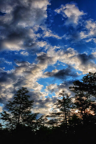 Clouds And Forest