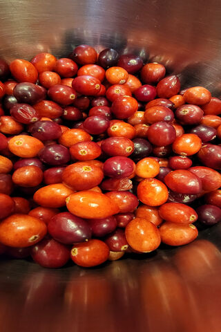 Cranberries