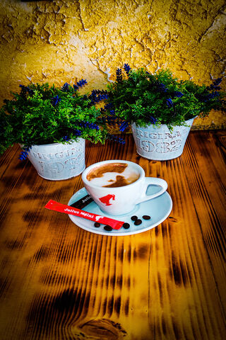 A Cozy Coffee Moment ☕🌿