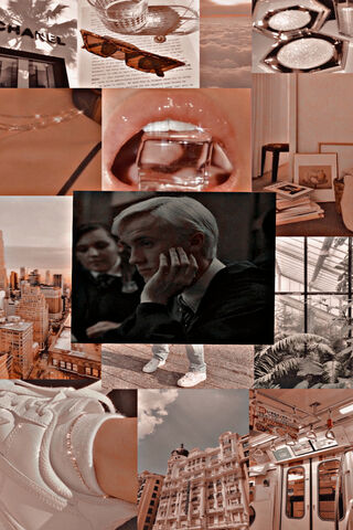 Chic Shadows: The Enigmatic Draco Malfoy