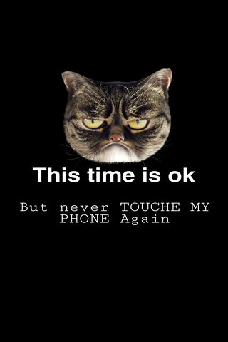 Feline Phone Protector 🐱📱