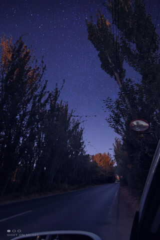 Starlit Serenity: A Journey Under the Night Sky ✨🌌