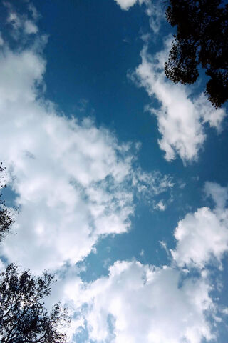 Dreamy Skies Above 🌥️✨