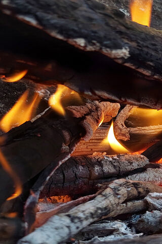 Dancing Flames: Nature's Warm Embrace 🔥