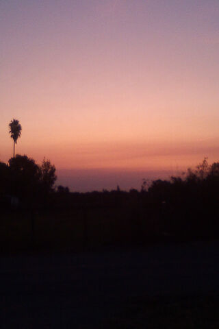 Sunset Dreams: A Slice of Fake Hawaii 🌅🌴