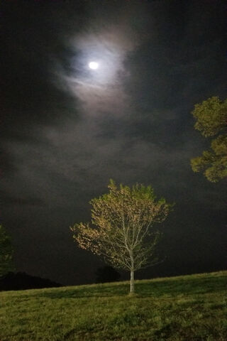 Moonlit Serenity: A Night by the Water 🌙🎣