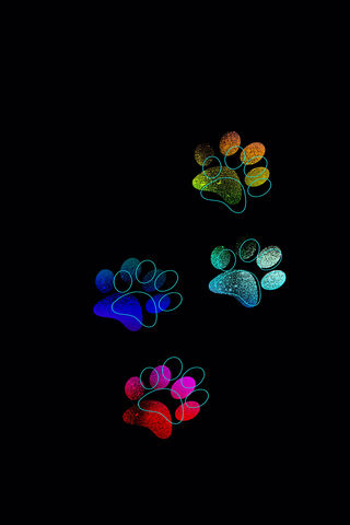 Radiant Paws: A Colorful Journey