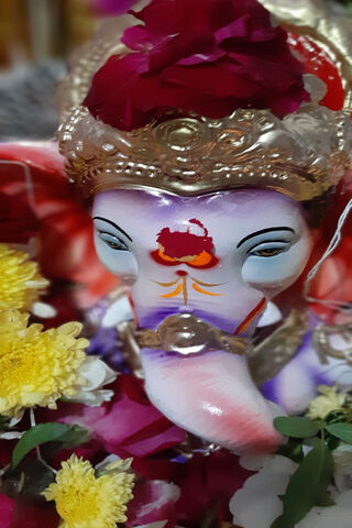 Divine Blessings: The Grace of Lord Ganesha 🌺🙏