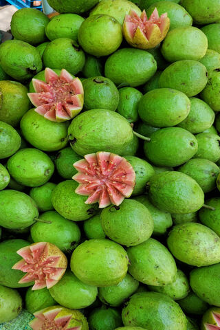 Guava Delight: Nature's Sweet Treasure 🍈✨