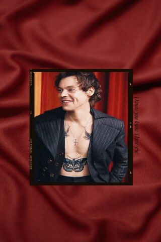 Charming Vibes: Harry Styles in Style ✨