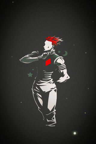 Hisoka: The Enigmatic J..