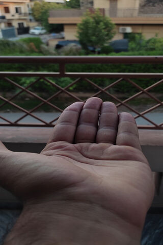 Open Hand: A Gesture of Connection 🤝