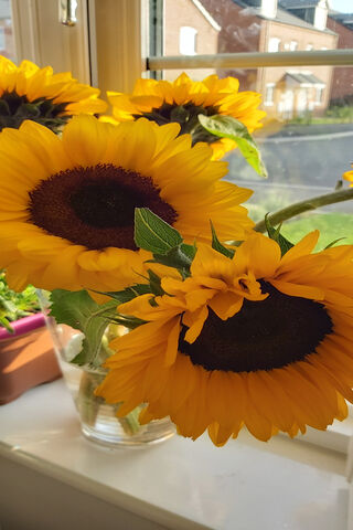 Sunshine in a Jar: The Spirit of Kenpachi Zaraki 🌻