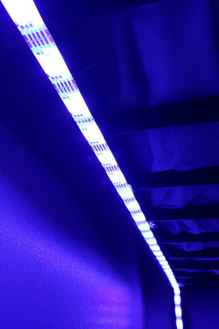 Vibrant Glow: The Magic of LED Lights ✨💡