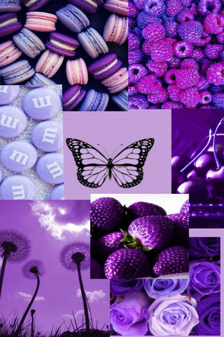 Purple Dreams: A Sweet Symphony of Colors 🦋💜