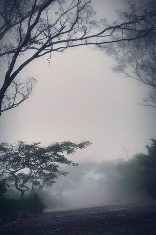 Whispering Veils of Dawn 🌫️✨