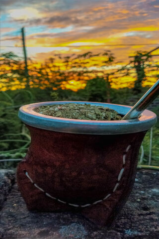 Sunset Sips: The Art of Mate