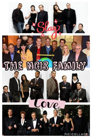 The Heart of NCIS: A Family United 💖