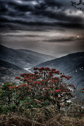 Mystical Beauty of Nepal 🌄🌺