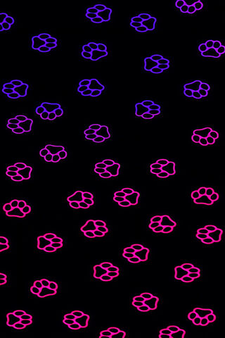 Glow of the Paws: Neon Vibes! 🌈🐾