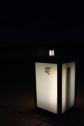 Illuminated Serenity: A Nighttime Glow