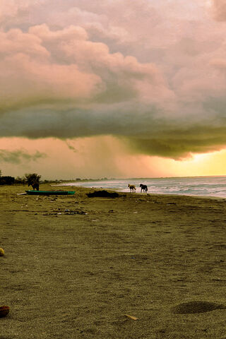 Sunset Serenity: A Coastal Dream 🌅