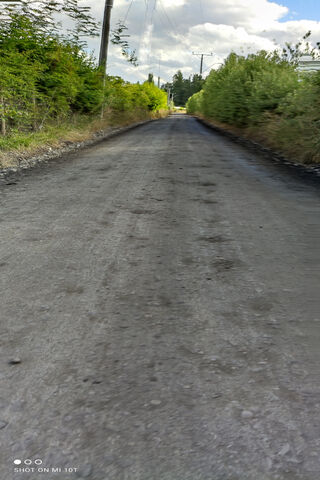 Journey Through the Pathway of Perspective 🌳🚶